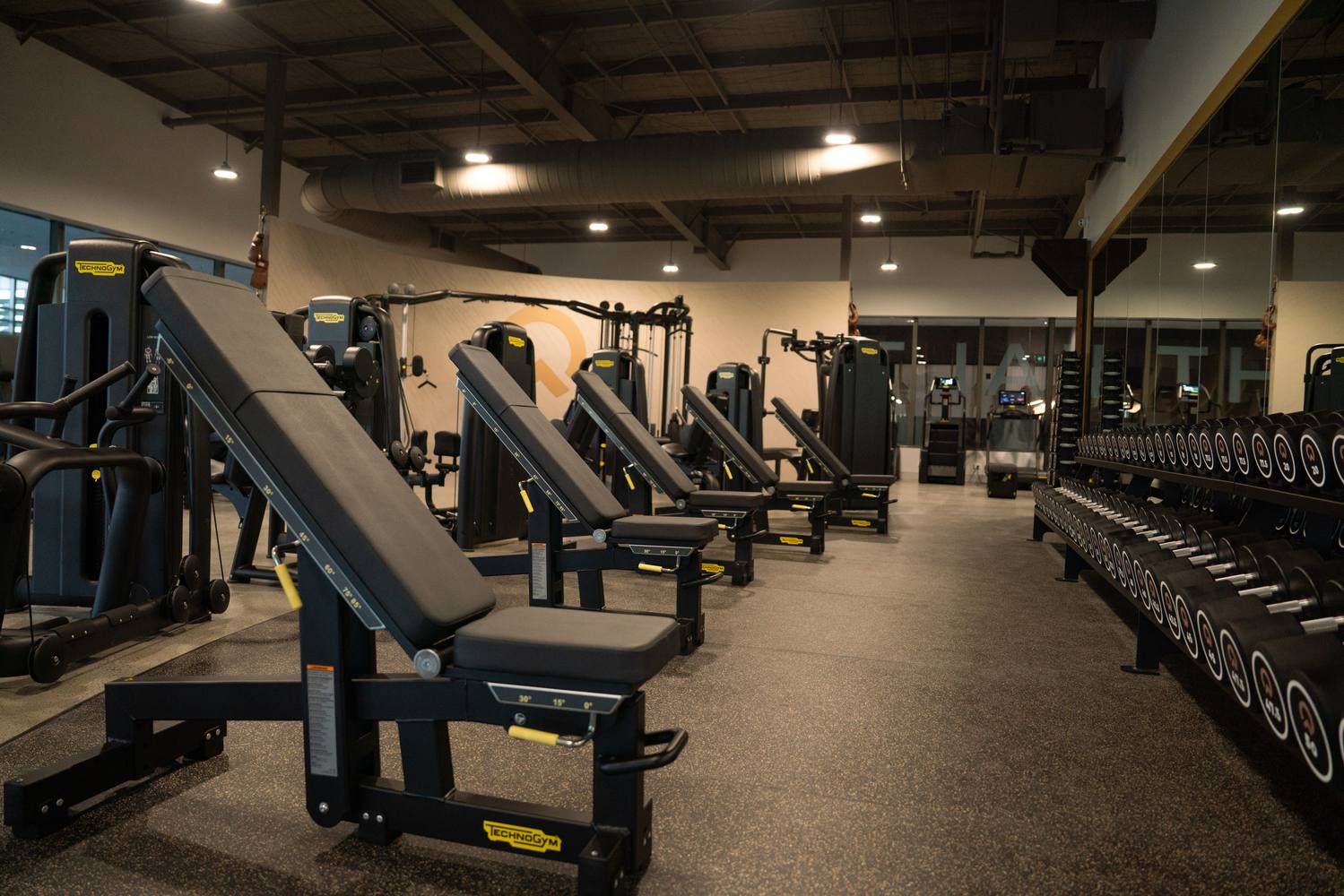The LOVT Health Club
